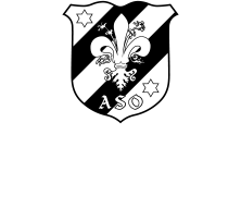 Villa ASO