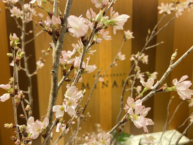 春よ、こいこいフェア